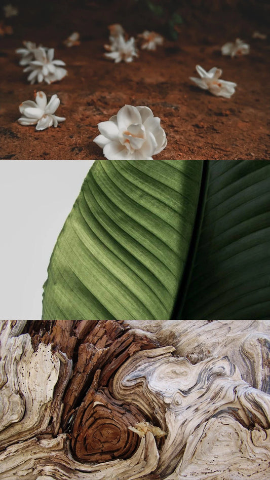 Jasmin of the Orient Candle