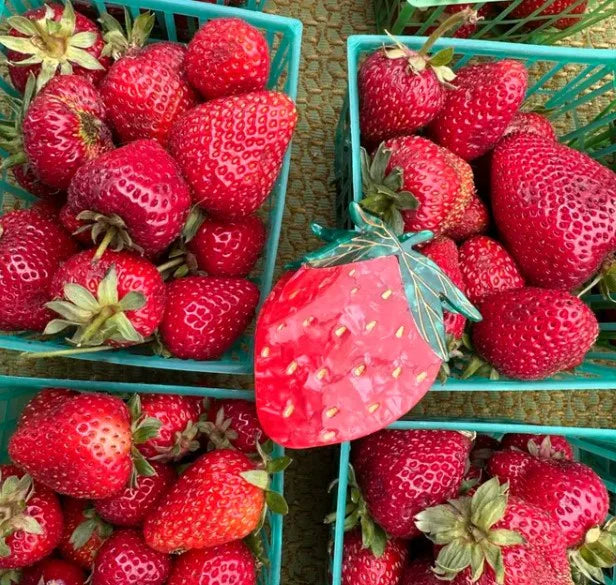 Strawberry Fruit Hand Painted Claw Hair Clip