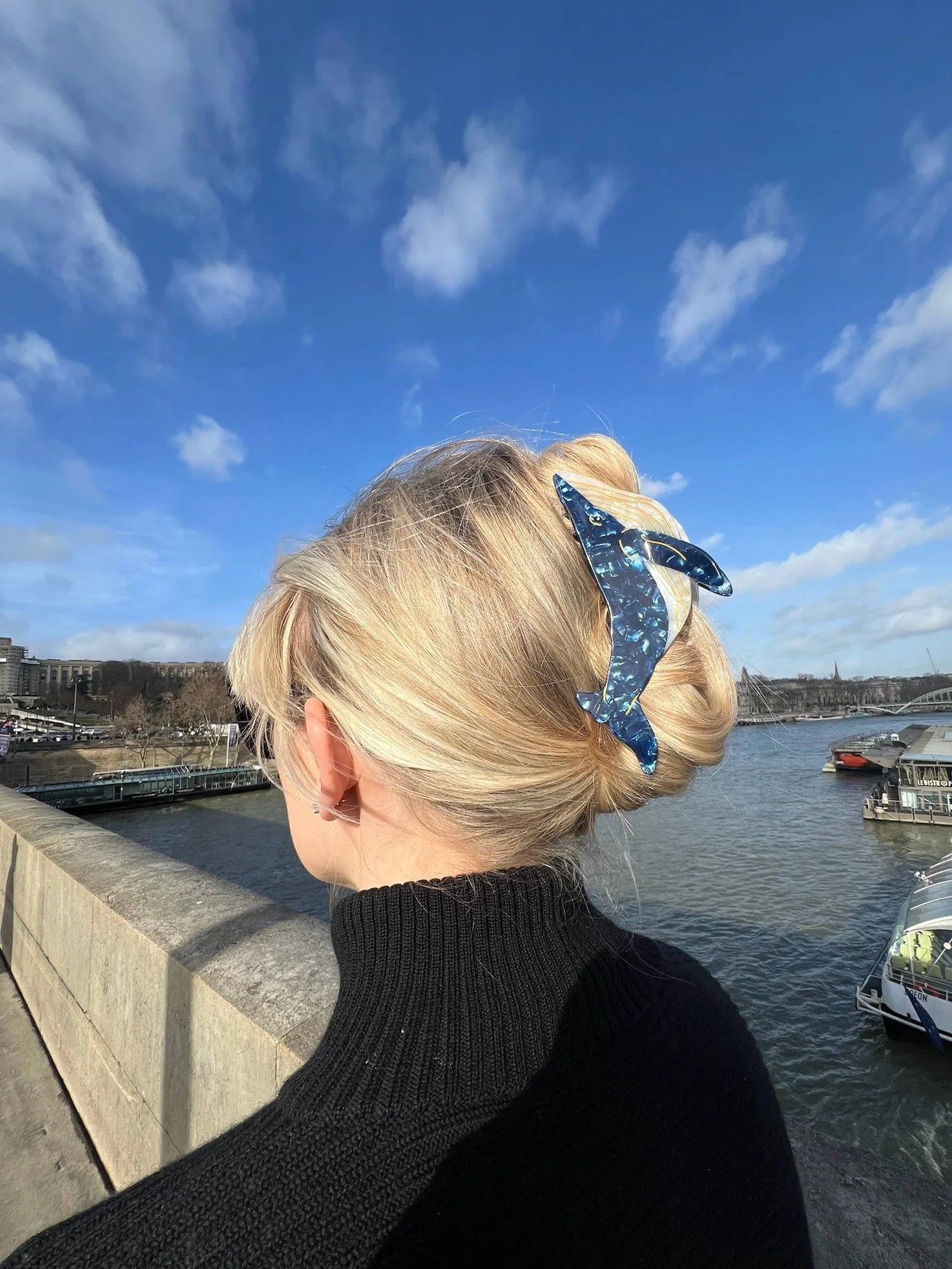 The Whale Hand Painted Claw Hair Clip