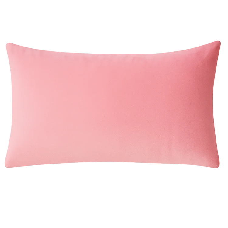 Safe Place To Complain Needlepoint Cushion