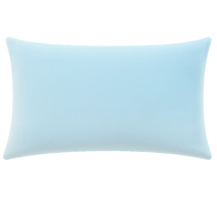 Introverts Live Here Needlepoint Cushion