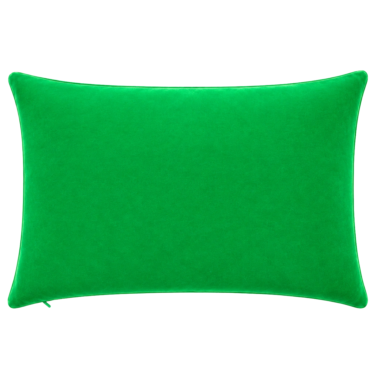 Hot Girls Drink Matcha Needlepoint Cushion