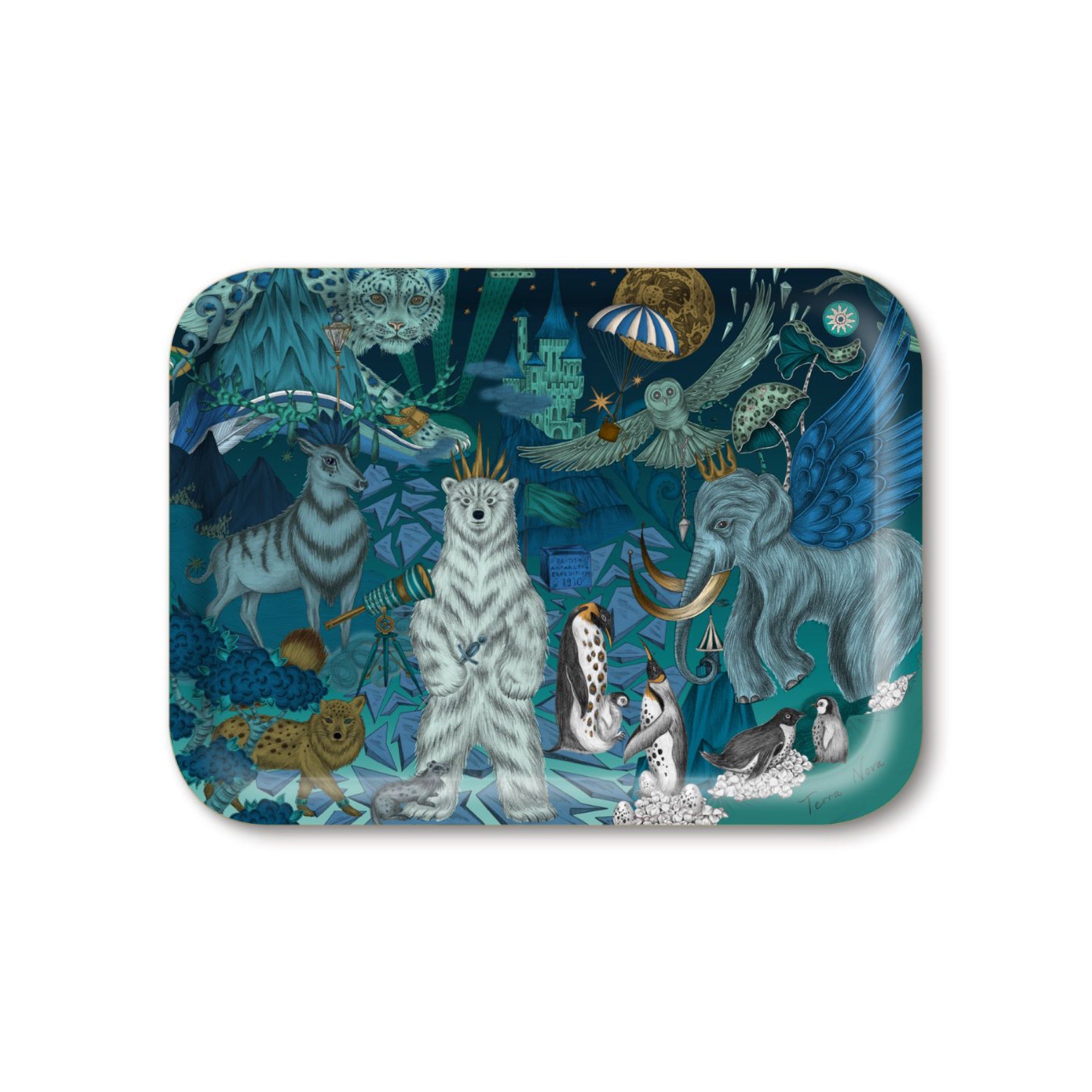 Terra Nova Ice Tray 27x20cm