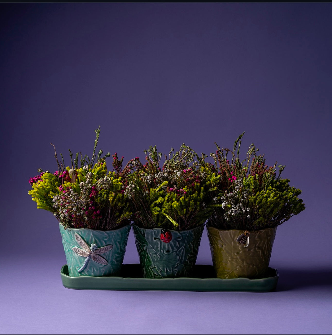 Set of 3 Vase - Flying Insects