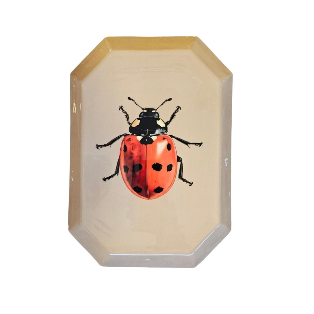 Les Ottomans Stamped Iron Tray - Ladybug