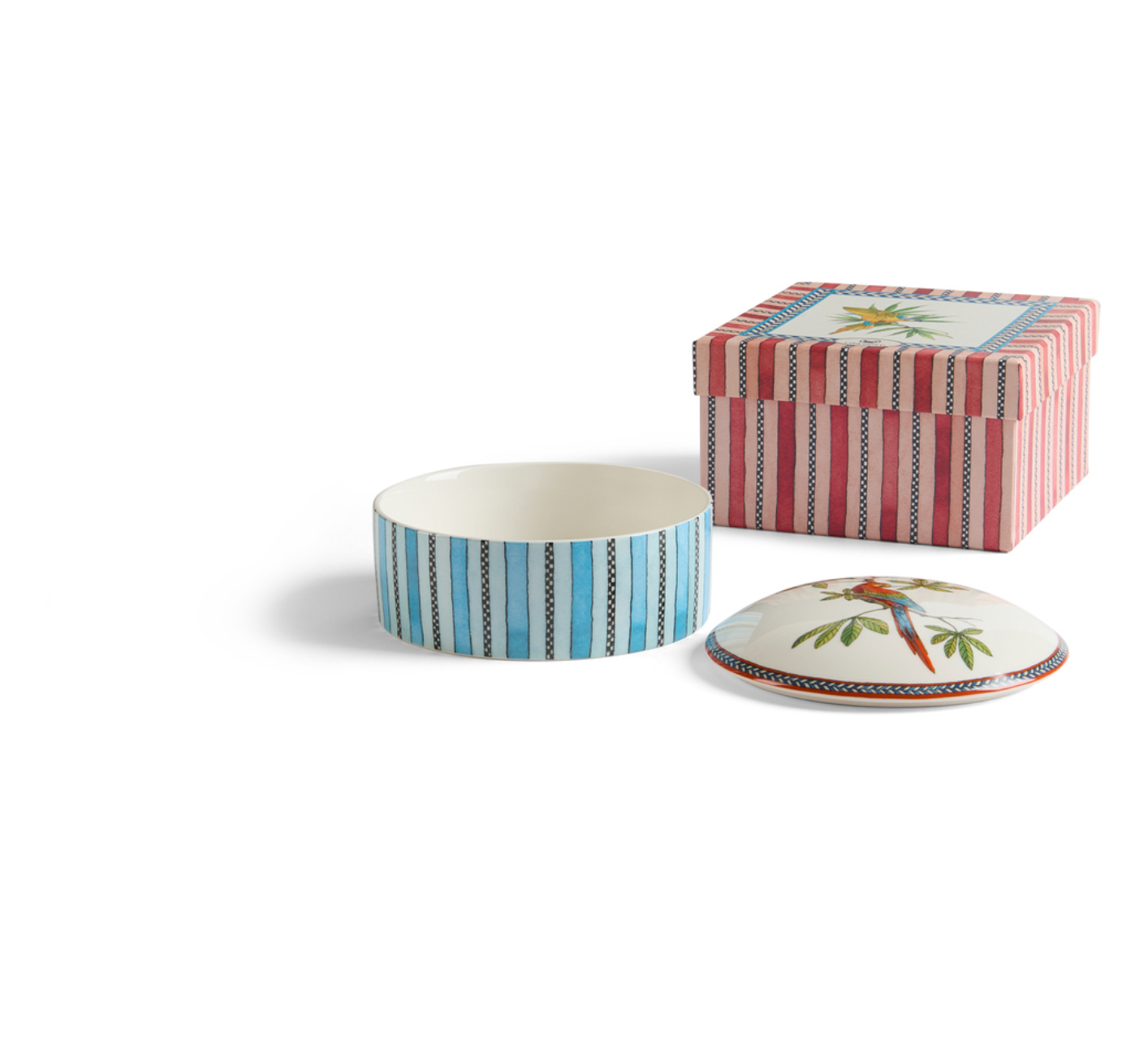 Jungle Parrot Porcelain Trinket Box - Blue