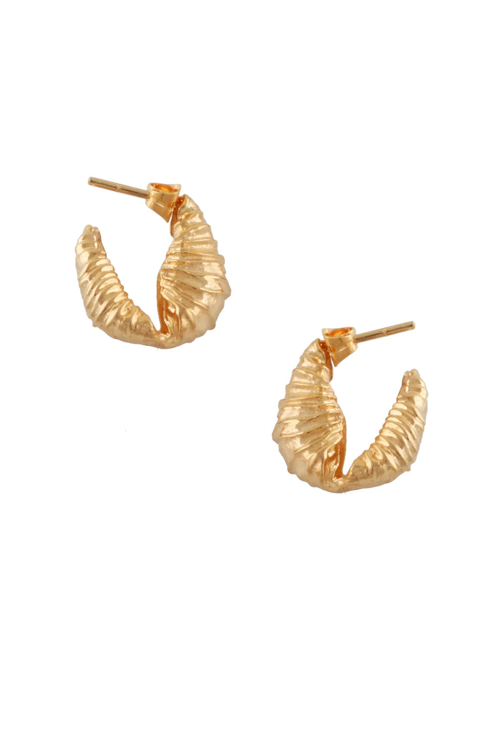 Mini Seashells Hoops Earrings