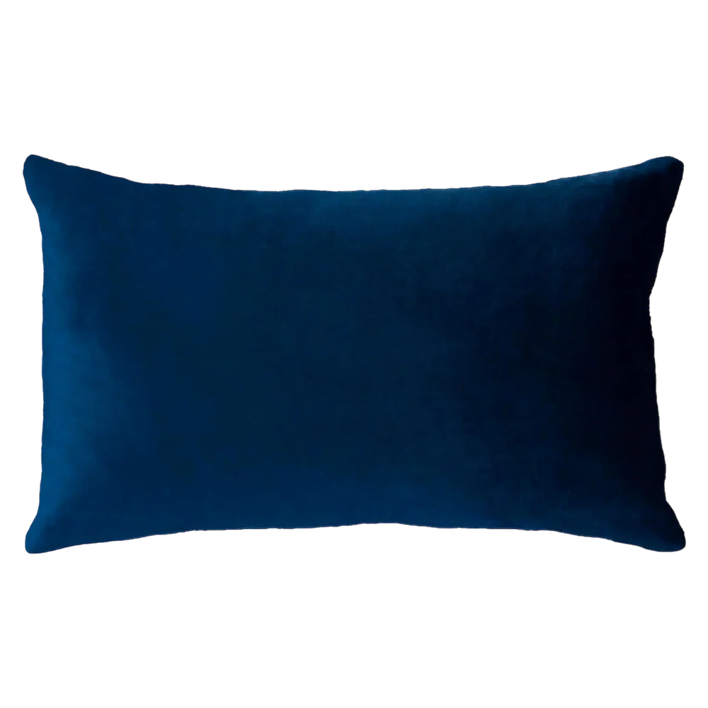 Netflix & Chill Needlepoint Cushion