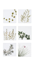 Load image into Gallery viewer, Set of 6 Gastronomic Herb Linen Napkins
