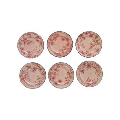 Pink Rocaille Dessert Plates - Set of 6