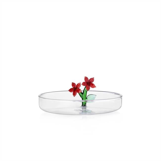 Ichendorf Christmas Flowers Saucer - Red Stars