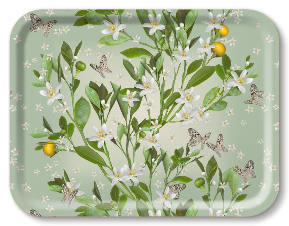 Orange Blossom Tray 43x33cm