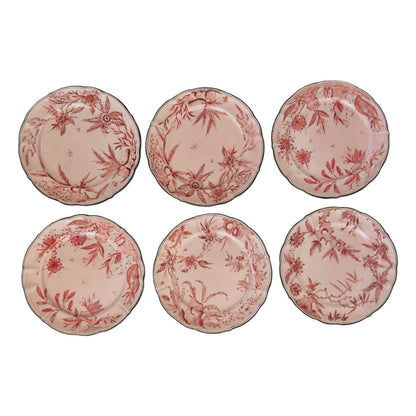 Pink Rocaille Dinner Plates - Set of 6