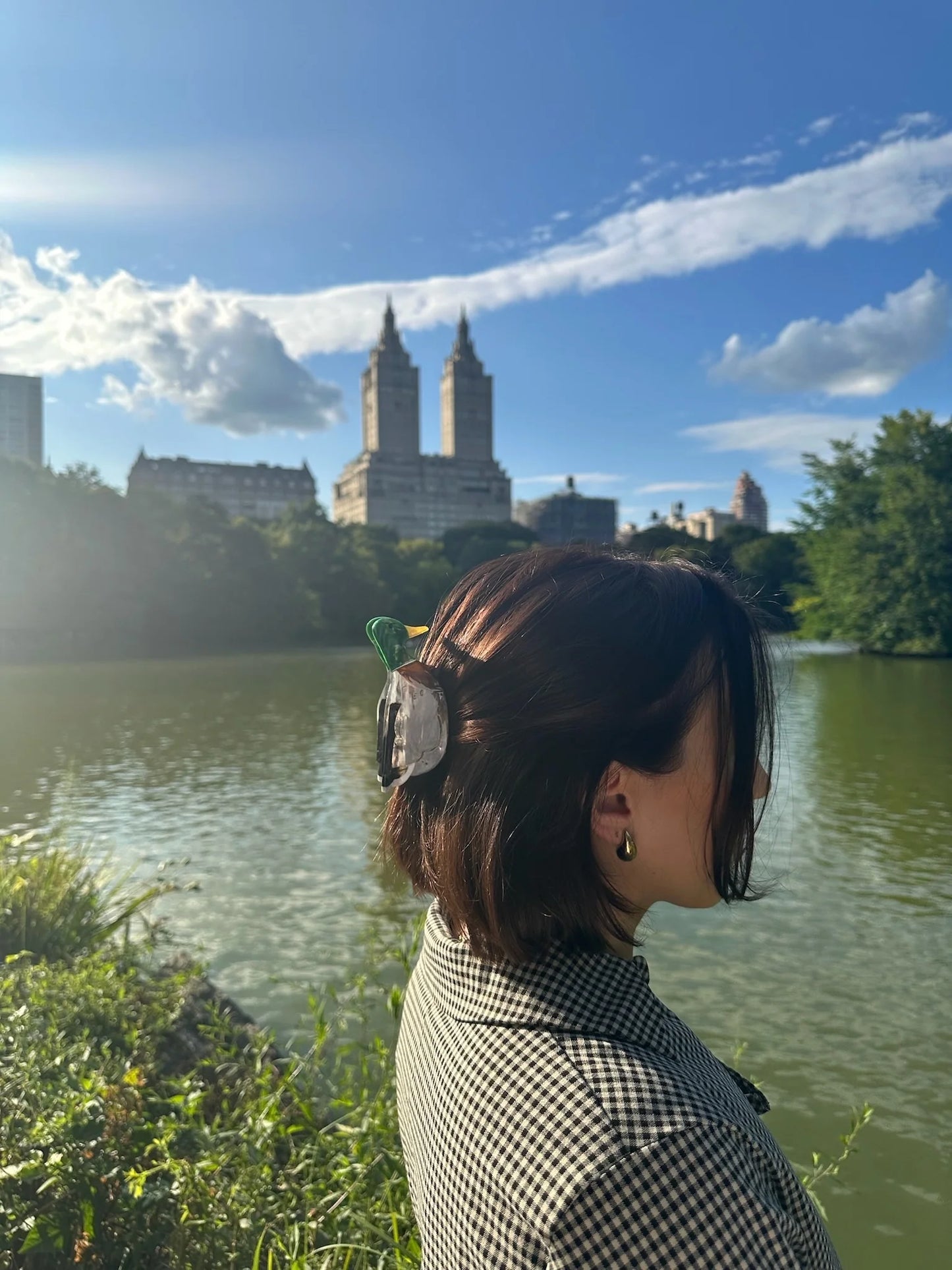 Mallard Duck Bird Hand Painted Claw Hair Clip