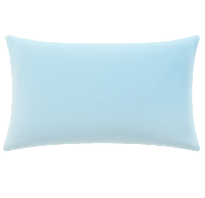 Introverts Live Here Needlepoint Cushion