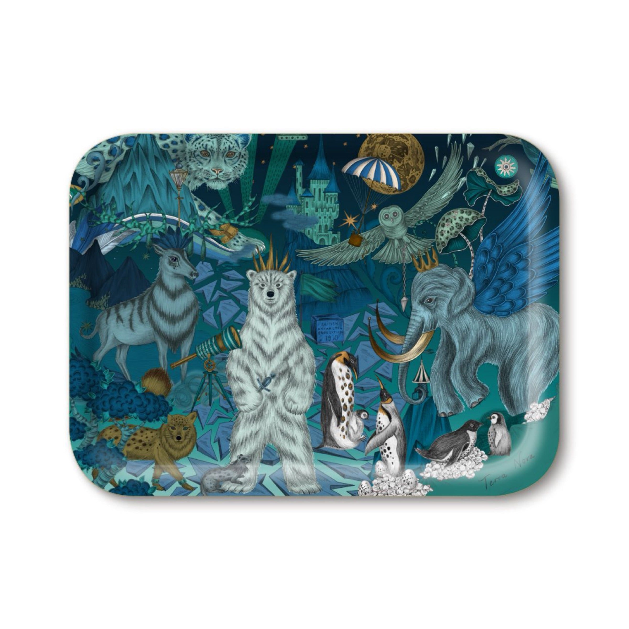 Terra Nova Tray 43x33cm