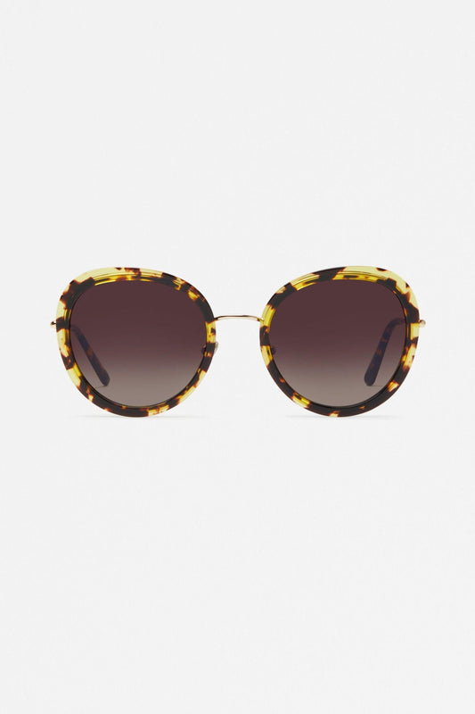 The Seawall Sunglasses