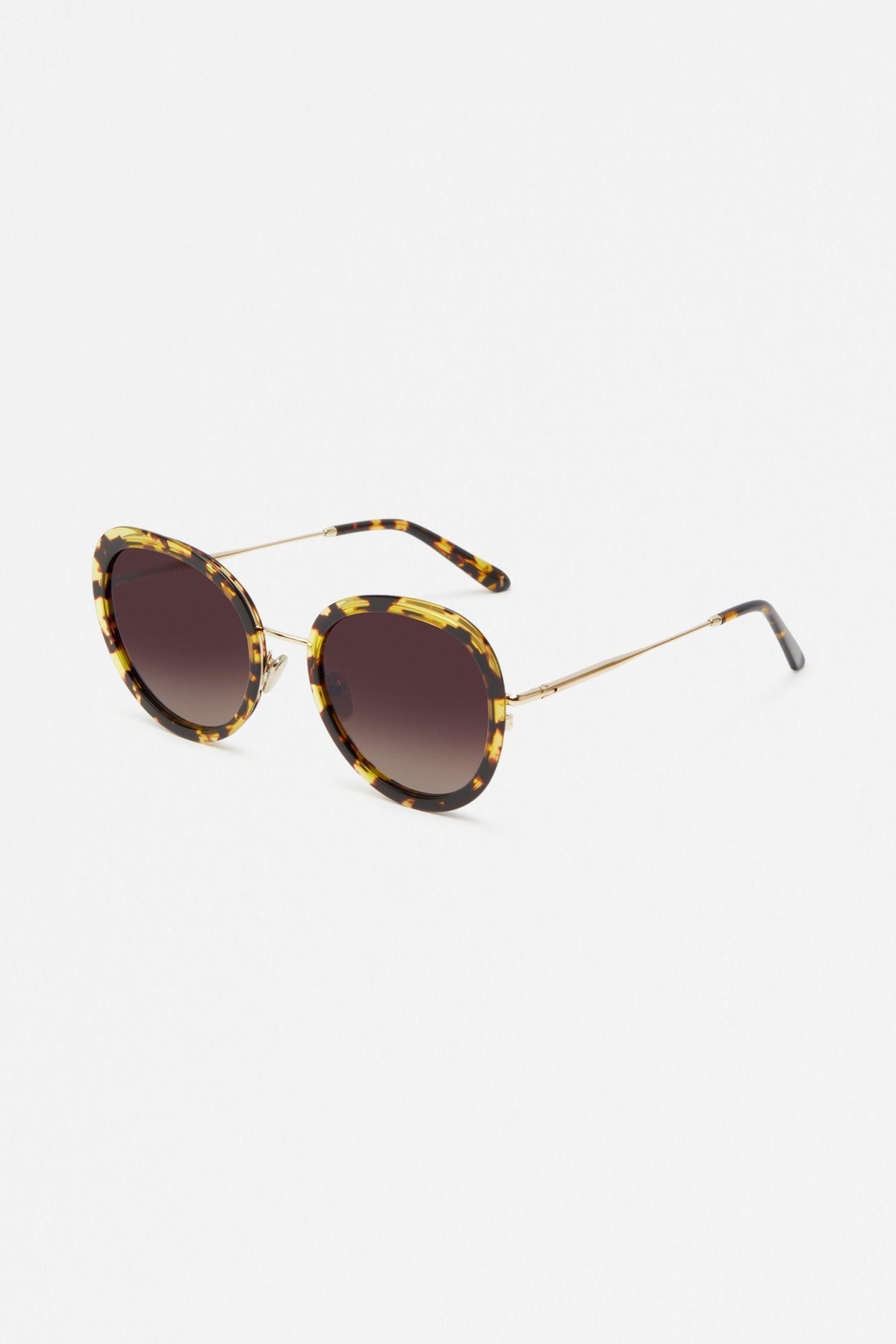 The Seawall Sunglasses