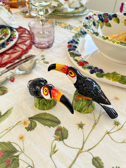 Toucans Salt & Pepper