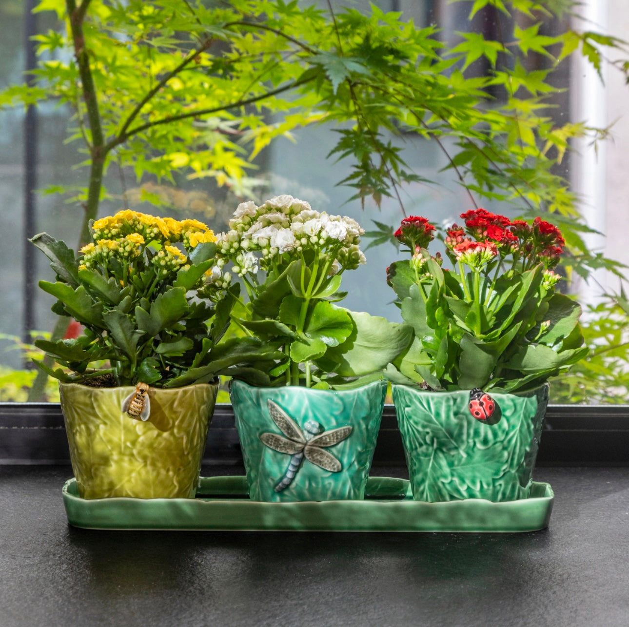 Set of 3 Vase - Flying Insects