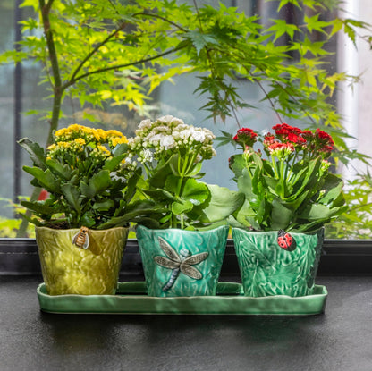 Set of 3 Vase - Flying Insects