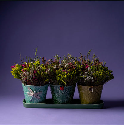 Set of 3 Vase - Flying Insects