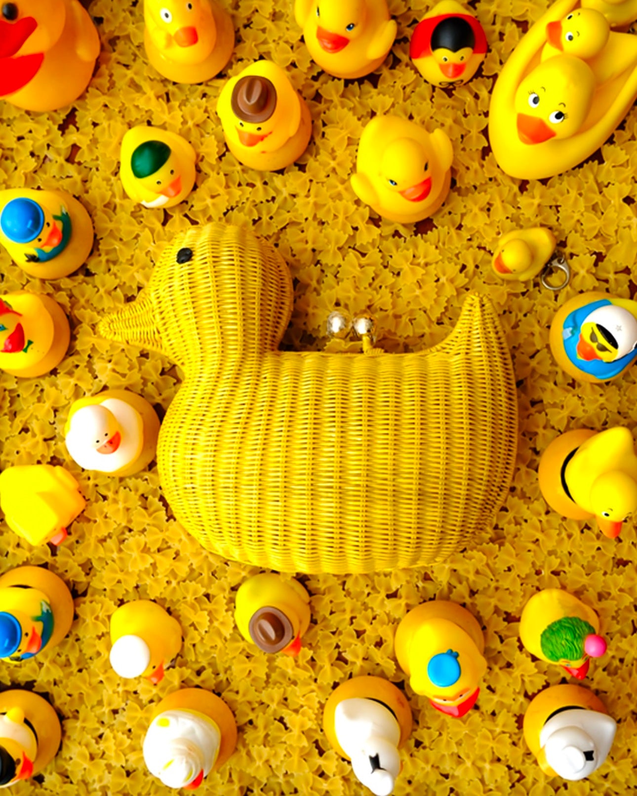 Serpui Pearl Duck Bag