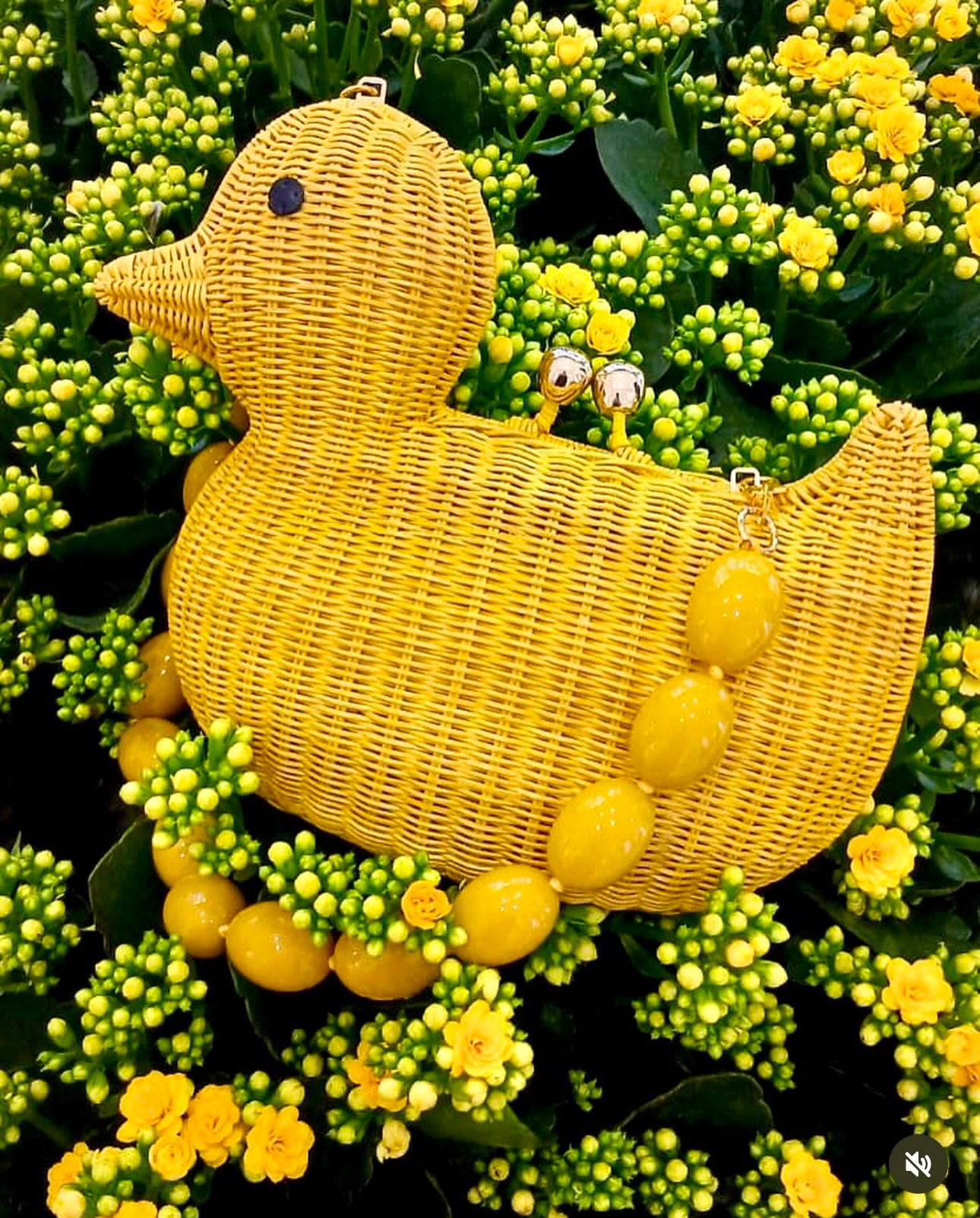 Serpui Pearl Duck Bag