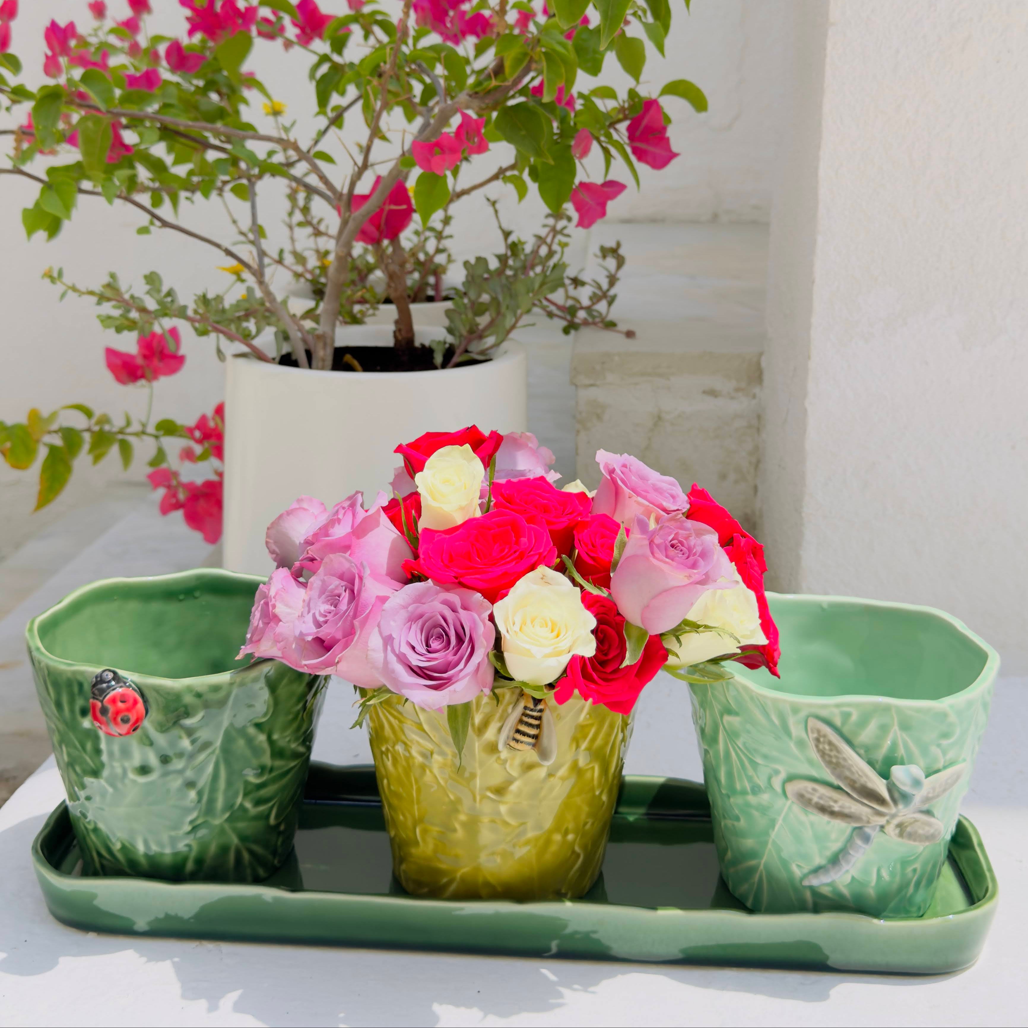 Set of 3 Vases - Flying Insects