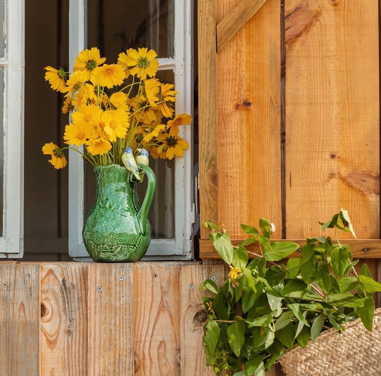 Cineraria Pitcher with Blue Birds