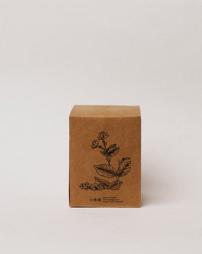 Jasmin of the Orient Candle