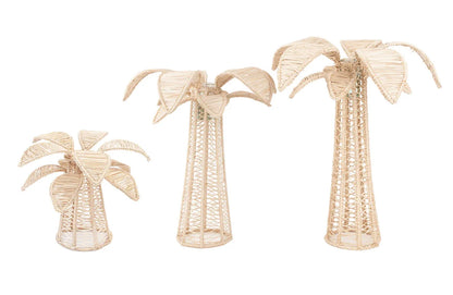 Palm Tree - Natural