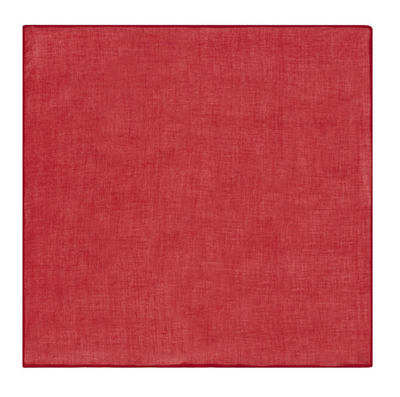 Organza Napkin 50x50