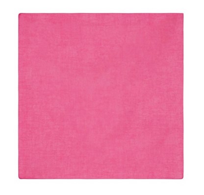 Organza Napkin 50x50