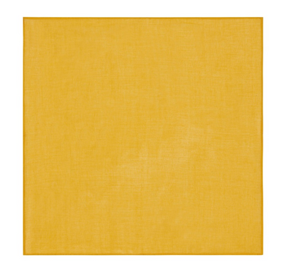Organza Napkin 50x50