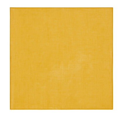 Organza Napkin 50x50