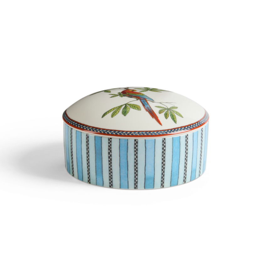 Jungle Parrot Porcelain Trinket Box - Blue