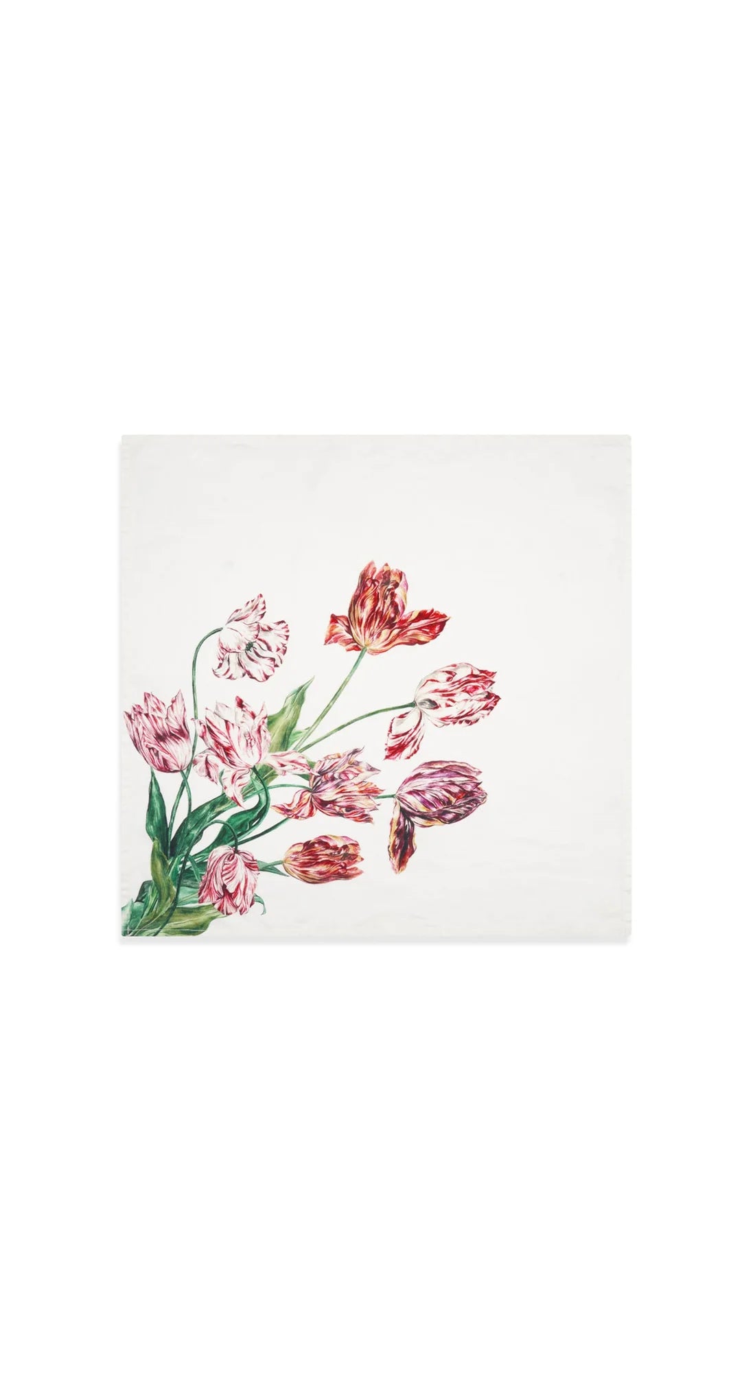 Tulip Linen Napkin Red & Pink