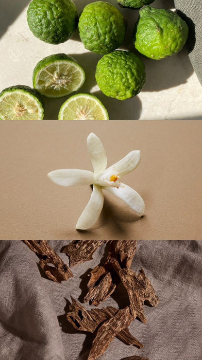 Orange Blossoms of Damascus Candle