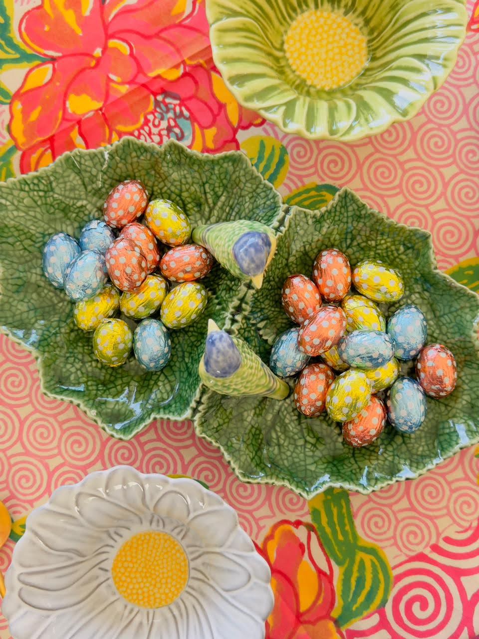 Cineraria Double Leaf with Blue Birds