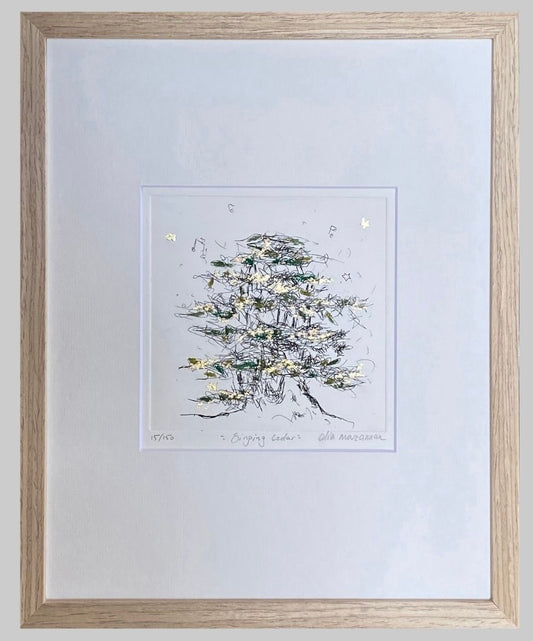 "Singing Cedar" Etching