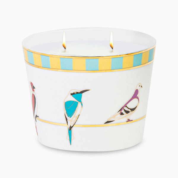 Silsal Sarb Naseem Candle (500g)