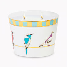 Load image into Gallery viewer, Silsal Sarb Naseem Candle (500g)
