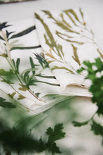 Load image into Gallery viewer, Set of 6 Tisane Herb Linen Napkins
