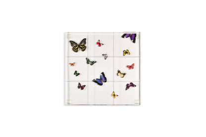 Butterfly Tic Tac Toe